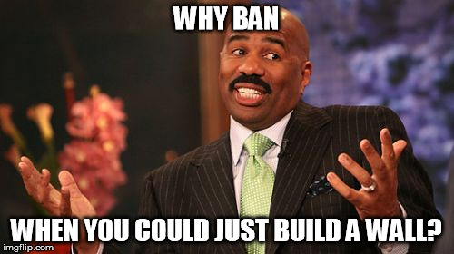 Steve Harvey Meme | WHY BAN WHEN YOU COULD JUST BUILD A WALL? | image tagged in memes,steve harvey | made w/ Imgflip meme maker