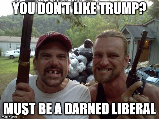 darn | YOU DON'T LIKE TRUMP? MUST BE A DARNED LIBERAL | image tagged in cons | made w/ Imgflip meme maker