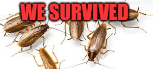 WE SURVIVED | made w/ Imgflip meme maker