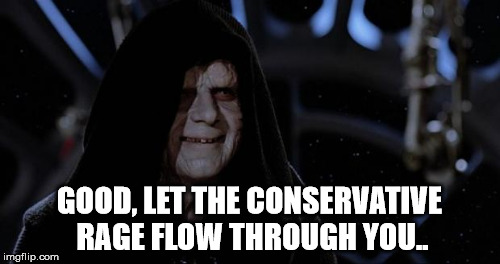 keep digging that hole | GOOD, LET THE CONSERVATIVE RAGE FLOW THROUGH YOU.. | image tagged in sith | made w/ Imgflip meme maker