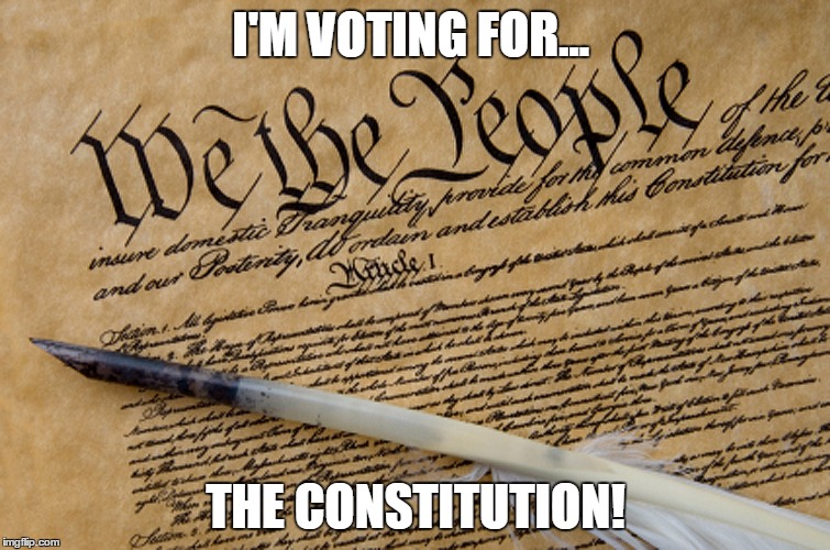 Constitution | I'M VOTING FOR... THE CONSTITUTION! | image tagged in constitution | made w/ Imgflip meme maker