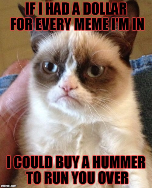 Just for fun | IF I HAD A DOLLAR FOR EVERY MEME I'M IN; I COULD BUY A HUMMER TO RUN YOU OVER | image tagged in memes,grumpy cat | made w/ Imgflip meme maker