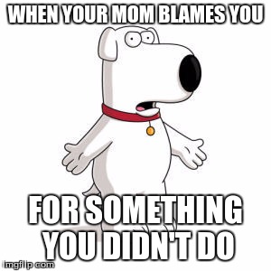 Family Guy Brian | WHEN YOUR MOM BLAMES YOU; FOR SOMETHING YOU DIDN'T DO | image tagged in memes,family guy brian | made w/ Imgflip meme maker