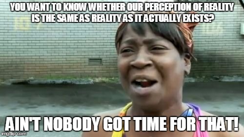 Ain't Nobody Got Time For That Meme | YOU WANT TO KNOW WHETHER OUR PERCEPTION OF REALITY IS THE SAME AS REALITY AS IT ACTUALLY EXISTS? AIN'T NOBODY GOT TIME FOR THAT! | image tagged in memes,aint nobody got time for that | made w/ Imgflip meme maker