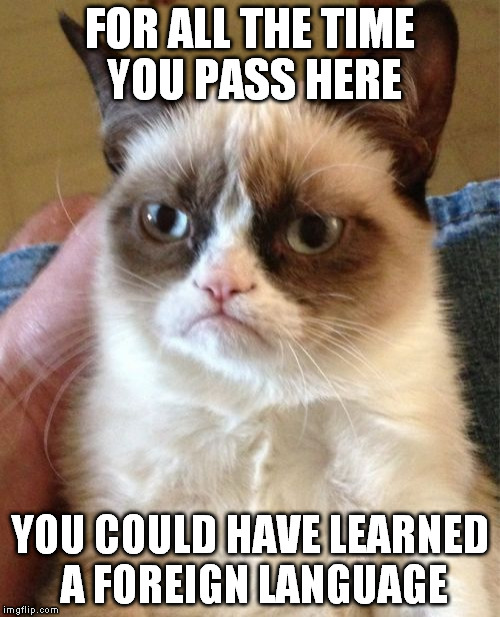 Grumpy Cat | FOR ALL THE TIME YOU PASS HERE; YOU COULD HAVE LEARNED A FOREIGN LANGUAGE | image tagged in memes,grumpy cat | made w/ Imgflip meme maker