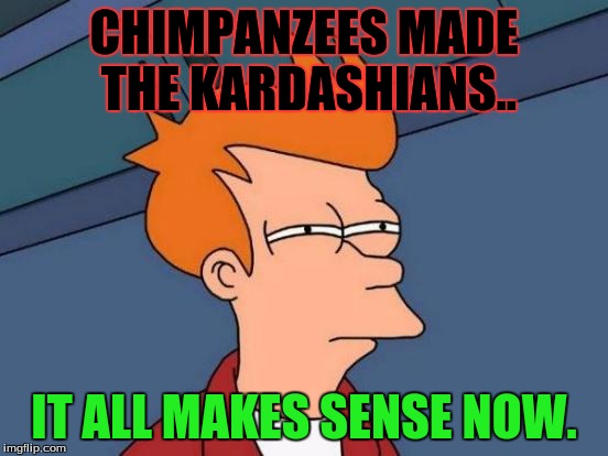 Futurama Fry Meme | CHIMPANZEES MADE THE KARDASHIANS.. IT ALL MAKES SENSE NOW. | image tagged in memes,futurama fry | made w/ Imgflip meme maker
