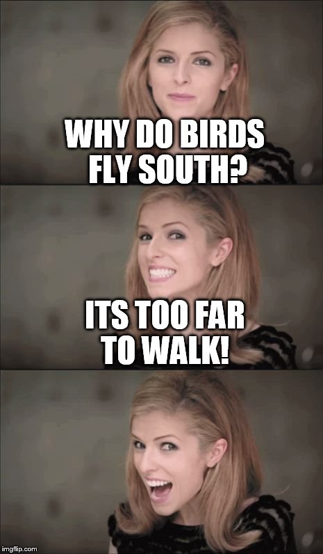 Bad Pun Anna Kendrick | WHY DO BIRDS FLY SOUTH? ITS TOO FAR TO WALK! | image tagged in memes,bad pun anna kendrick,birds,south,fly | made w/ Imgflip meme maker