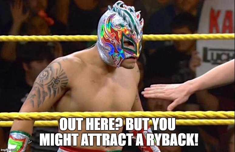OUT HERE? BUT YOU MIGHT ATTRACT A RYBACK! | made w/ Imgflip meme maker