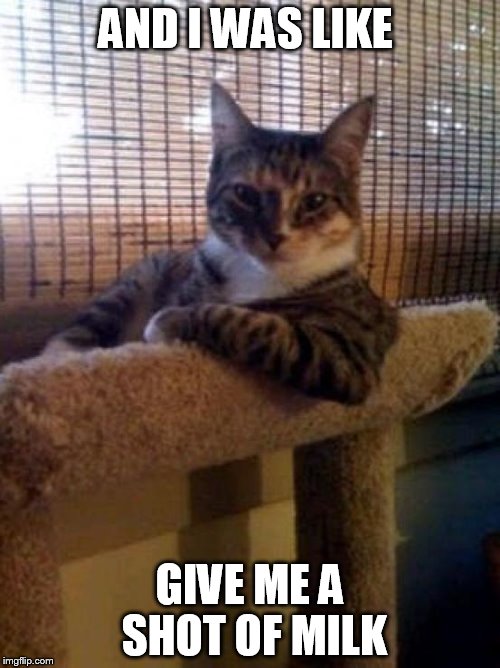 The Most Interesting Cat In The World Meme | AND I WAS LIKE; GIVE ME A SHOT OF MILK | image tagged in memes,the most interesting cat in the world | made w/ Imgflip meme maker