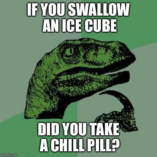 Philosoraptor Meme | IF YOU SWALLOW AN ICE CUBE; DID YOU TAKE A CHILL PILL? | image tagged in memes,philosoraptor,AdviceAnimals | made w/ Imgflip meme maker