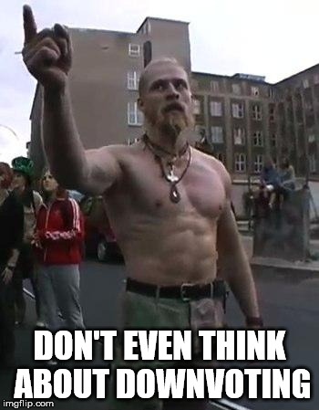 Techno Viking |  DON'T EVEN THINK ABOUT DOWNVOTING | image tagged in techno viking | made w/ Imgflip meme maker