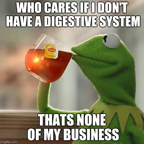 But That's None Of My Business Meme | WHO CARES IF I DON'T HAVE A DIGESTIVE SYSTEM; THATS NONE OF MY BUSINESS | image tagged in memes,but thats none of my business,kermit the frog | made w/ Imgflip meme maker