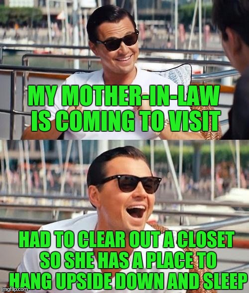 Leonardo Dicaprio Wolf Of Wall Street | MY MOTHER-IN-LAW IS COMING TO VISIT; HAD TO CLEAR OUT A CLOSET SO SHE HAS A PLACE TO HANG UPSIDE DOWN AND SLEEP | image tagged in memes,leonardo dicaprio wolf of wall street | made w/ Imgflip meme maker