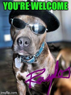 Gangsta Dog Autograph | YOU'RE WELCOME | image tagged in gangsta dog autograph | made w/ Imgflip meme maker