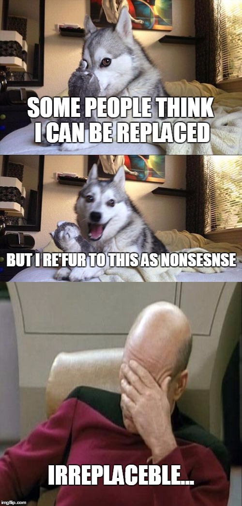 Bad Pun Dog | SOME PEOPLE THINK I CAN BE REPLACED; BUT I RE'FUR TO THIS AS NONSESNSE; IRREPLACEBLE... | image tagged in memes,bad pun dog,captain picard facepalm,meme wars | made w/ Imgflip meme maker