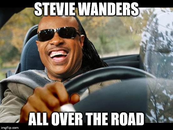 STEVIE WANDERS ALL OVER THE ROAD | made w/ Imgflip meme maker