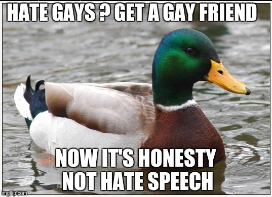 Actual Advice Mallard Meme | HATE GAYS ? GET A GAY FRIEND; NOW IT'S HONESTY  NOT HATE SPEECH | image tagged in memes,actual advice mallard | made w/ Imgflip meme maker