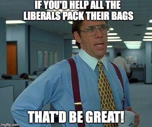 That Would Be Great | IF YOU'D HELP ALL THE LIBERALS PACK THEIR BAGS; THAT'D BE GREAT! | image tagged in memes,that would be great | made w/ Imgflip meme maker