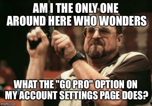 Am I The Only One Around Here | AM I THE ONLY ONE AROUND HERE WHO WONDERS; WHAT THE "GO PRO" OPTION ON MY ACCOUNT SETTINGS PAGE DOES? | image tagged in memes,am i the only one around here | made w/ Imgflip meme maker