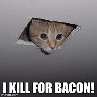 Ceiling Cat | I KILL FOR BACON! | image tagged in memes,ceiling cat | made w/ Imgflip meme maker