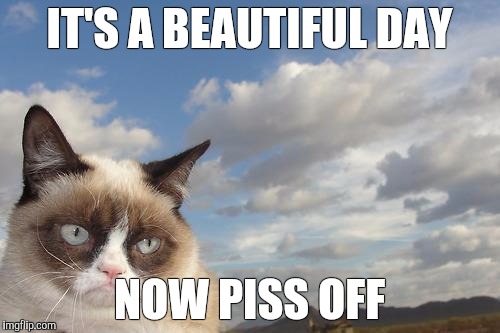 Grumpy Cat Sky | IT'S A BEAUTIFUL DAY; NOW PISS OFF | image tagged in memes,grumpy cat sky,grumpy cat | made w/ Imgflip meme maker