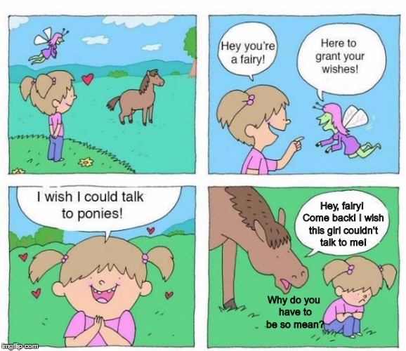 Talk to Ponies | Hey, fairy! Come back! I wish this girl couldn't talk to me! Why do you have to be so mean? | image tagged in talk to ponies | made w/ Imgflip meme maker