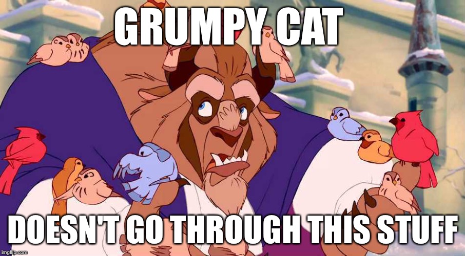 Beast_disney | GRUMPY CAT; DOESN'T GO THROUGH THIS STUFF | image tagged in beast_disney | made w/ Imgflip meme maker