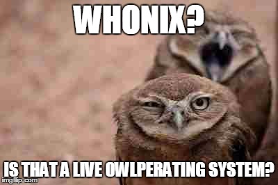 Annoyed Owl | WHONIX? IS THAT A LIVE OWLPERATING SYSTEM? | image tagged in annoyed owl | made w/ Imgflip meme maker