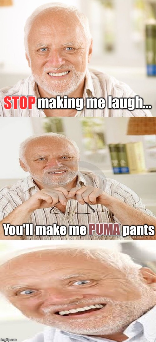 Take that, Anna! | STOP; STOP making me laugh... PUMA; You'll make me PUMA pants | image tagged in horrible pun harold,memes | made w/ Imgflip meme maker