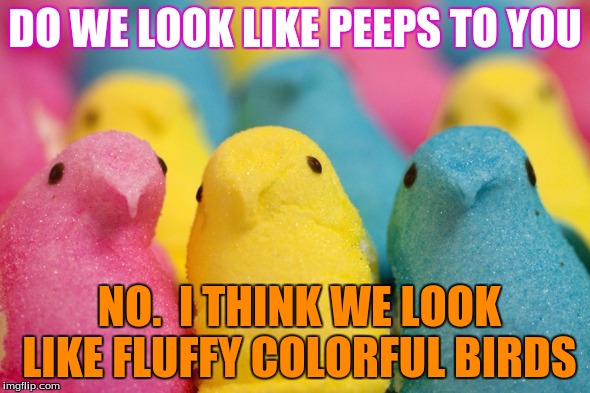 Peeps | DO WE LOOK LIKE PEEPS TO YOU; NO.  I THINK WE LOOK LIKE FLUFFY COLORFUL BIRDS | image tagged in peeps | made w/ Imgflip meme maker