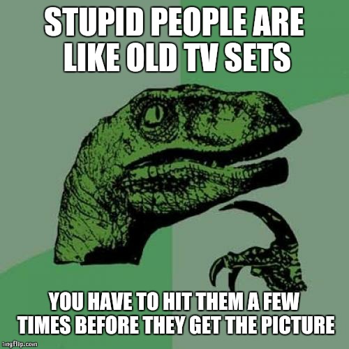 Philosoraptor Meme | STUPID PEOPLE ARE LIKE OLD TV SETS; YOU HAVE TO HIT THEM A FEW TIMES BEFORE THEY GET THE PICTURE | image tagged in memes,philosoraptor | made w/ Imgflip meme maker
