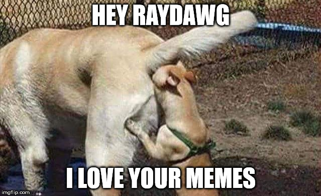 so hot right now | HEY RAYDAWG; I LOVE YOUR MEMES | image tagged in cowboys haters | made w/ Imgflip meme maker