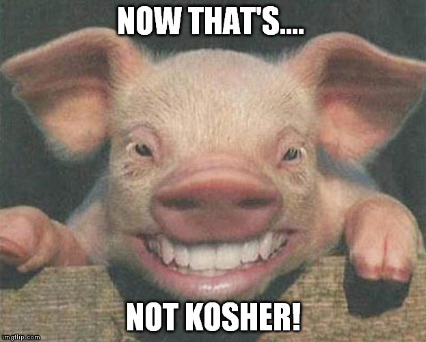 NOW THAT'S.... NOT KOSHER! | made w/ Imgflip meme maker