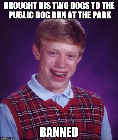 Bad Luck Brian Meme | BROUGHT HIS TWO DOGS TO THE PUBLIC DOG RUN AT THE PARK BANNED | image tagged in memes,bad luck brian | made w/ Imgflip meme maker