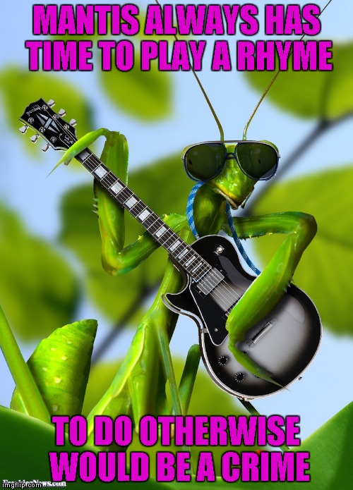 MANTIS ALWAYS HAS TIME TO PLAY A RHYME TO DO OTHERWISE WOULD BE A CRIME | made w/ Imgflip meme maker