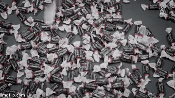 The Daily Buzz tootsie rolls