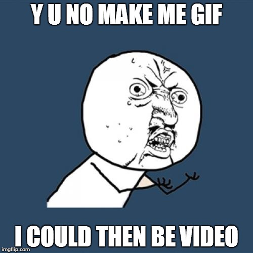 Y U No | Y U NO MAKE ME GIF; I COULD THEN BE VIDEO | image tagged in memes,y u no | made w/ Imgflip meme maker