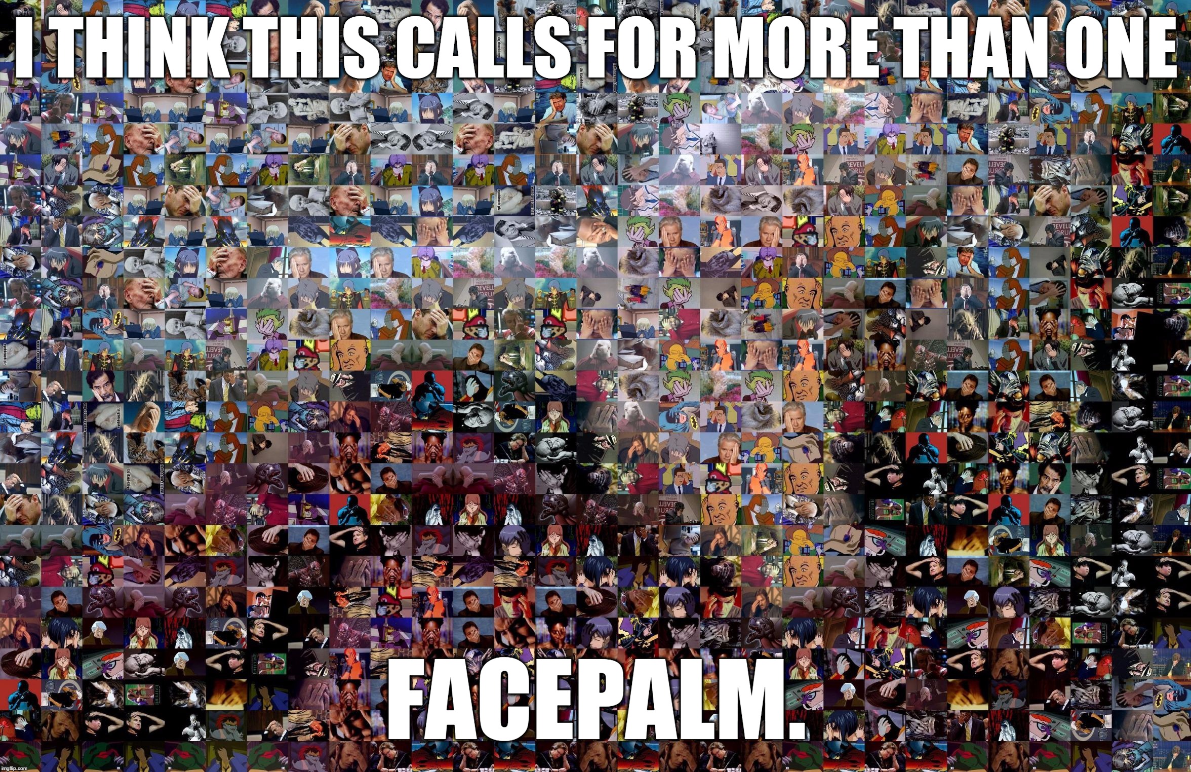 When One Facepalm Is Not Enough | I THINK THIS CALLS FOR MORE THAN ONE FACEPALM. | image tagged in when one facepalm is not enough | made w/ Imgflip meme maker