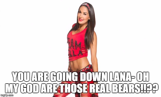 YOU ARE GOING DOWN LANA- OH MY GOD ARE THOSE REAL BEARS!!?? | made w/ Imgflip meme maker