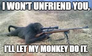 Unfriending | I WON'T UNFRIEND YOU, I'LL LET MY MONKEY DO IT. | image tagged in funny meme | made w/ Imgflip meme maker