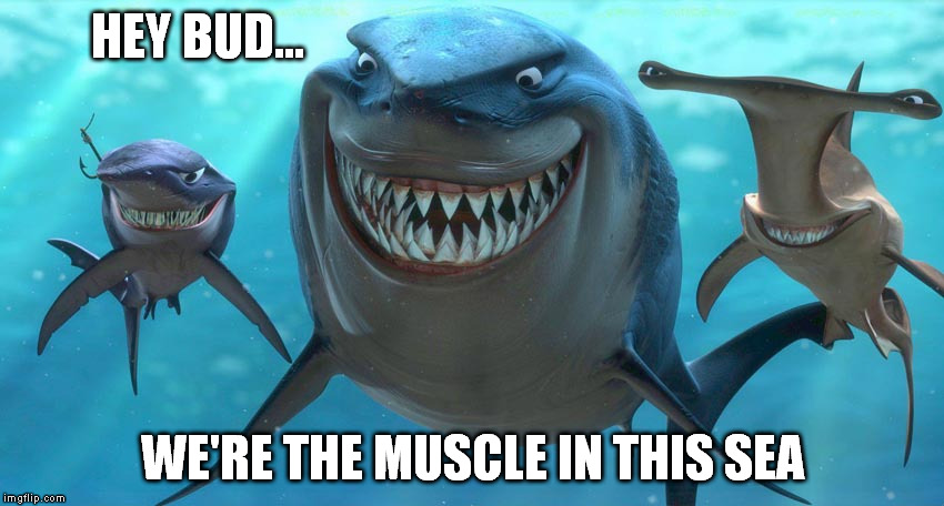 HEY BUD... WE'RE THE MUSCLE IN THIS SEA | made w/ Imgflip meme maker