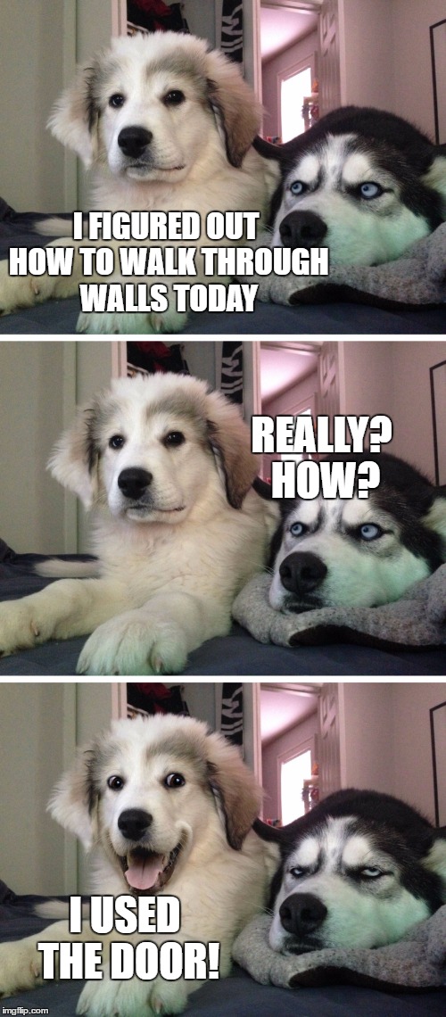 Bad joke dog | I FIGURED OUT HOW TO WALK THROUGH WALLS TODAY; REALLY? HOW? I USED THE DOOR! | image tagged in bad pun dogs | made w/ Imgflip meme maker