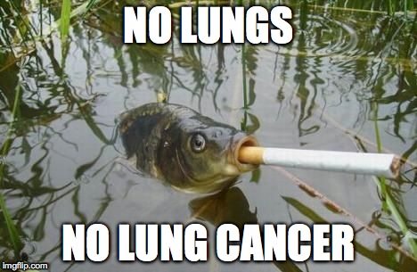 Cigarette Fish | NO LUNGS; NO LUNG CANCER | image tagged in fish,cancer,cigarette | made w/ Imgflip meme maker
