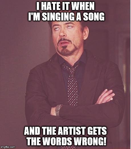 Face You Make Robert Downey Jr Meme | I HATE IT WHEN I'M SINGING A SONG; AND THE ARTIST GETS THE WORDS WRONG! | image tagged in memes,face you make robert downey jr | made w/ Imgflip meme maker