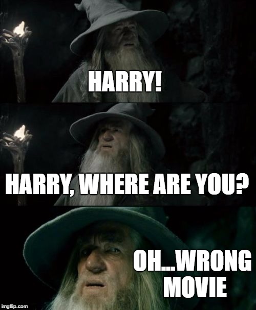 Confused Gandalf | HARRY! HARRY, WHERE ARE YOU? OH...WRONG MOVIE | image tagged in memes,confused gandalf | made w/ Imgflip meme maker