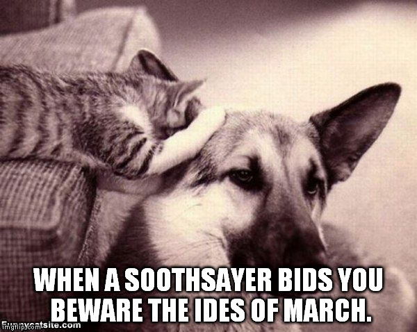 The Ides of March | WHEN A SOOTHSAYER BIDS YOU BEWARE THE IDES OF MARCH. | image tagged in shakespeare,march,cat,dog | made w/ Imgflip meme maker