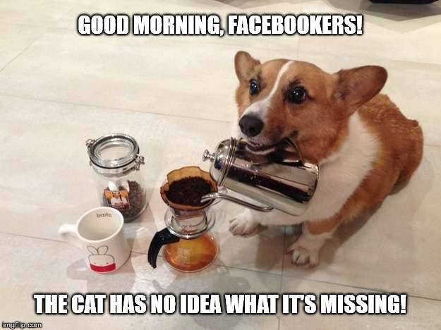 Corgi dog making its morning coffee.  (The cat has no idea what it's missing!) | GOOD MORNING, FACEBOOKERS! THE CAT HAS NO IDEA WHAT IT'S MISSING! | image tagged in coffee,brewing coffee,dog,corgi,good morning,facebooers | made w/ Imgflip meme maker