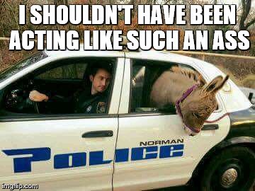 Donkey in Police Car | I SHOULDN'T HAVE BEEN ACTING LIKE SUCH AN ASS | image tagged in donkey in police car | made w/ Imgflip meme maker