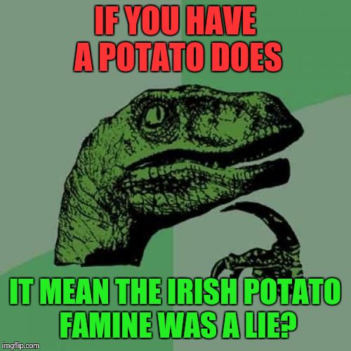 Philosoraptor | IF YOU HAVE A POTATO DOES; IT MEAN THE IRISH POTATO FAMINE WAS A LIE? | image tagged in memes,philosoraptor | made w/ Imgflip meme maker