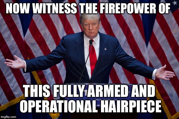 Donald Trump | NOW WITNESS THE FIREPOWER OF; THIS FULLY ARMED AND OPERATIONAL HAIRPIECE | image tagged in donald trump | made w/ Imgflip meme maker